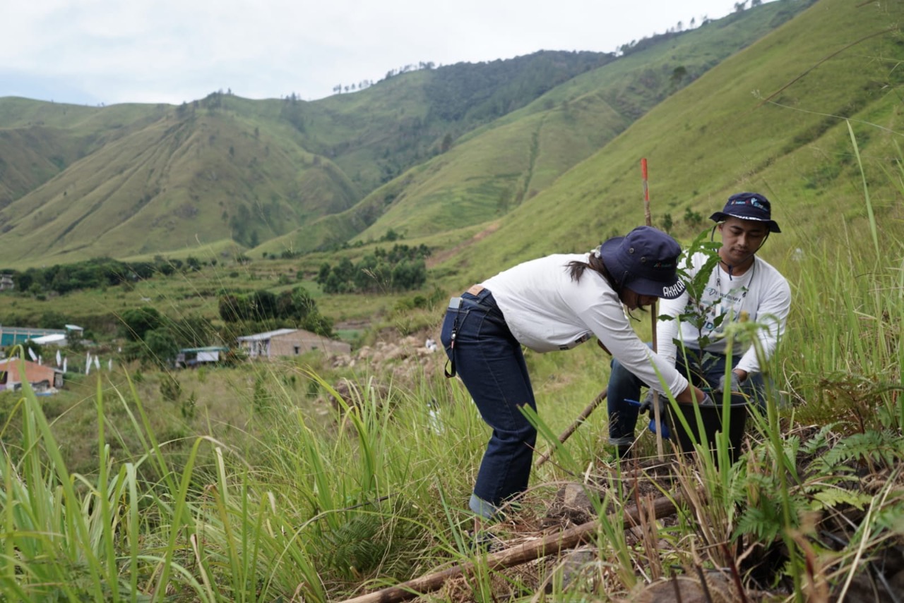 Do Tree Plantation, INALUM So Tuan Home Bakti BUMN For Indonesia in Toba Lake Area