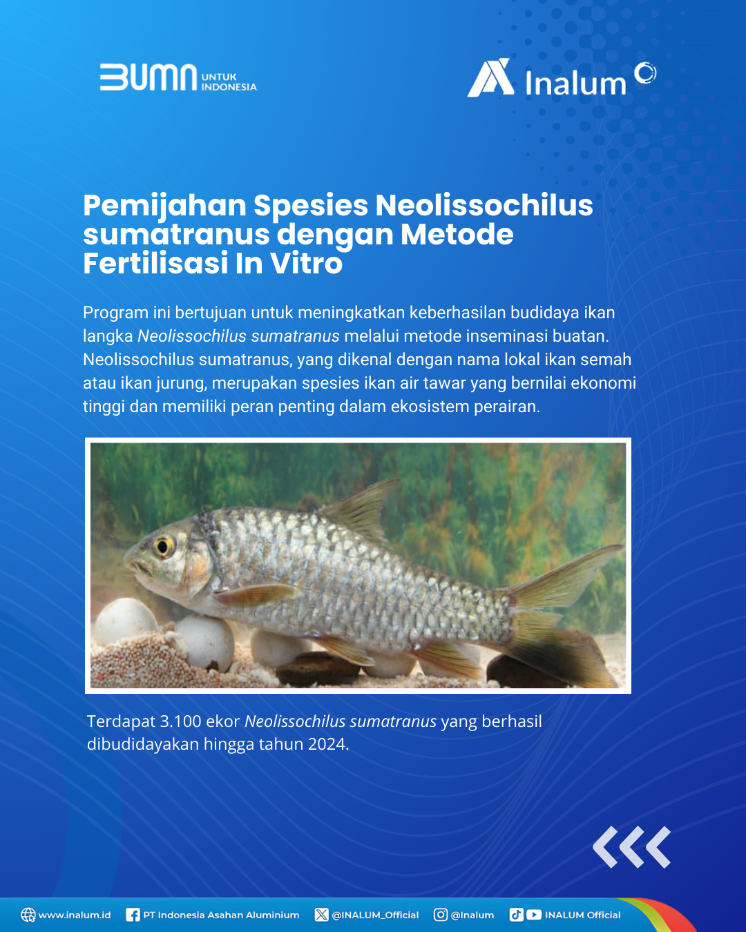 Perlindungan Keanekaragaman Hayati-7