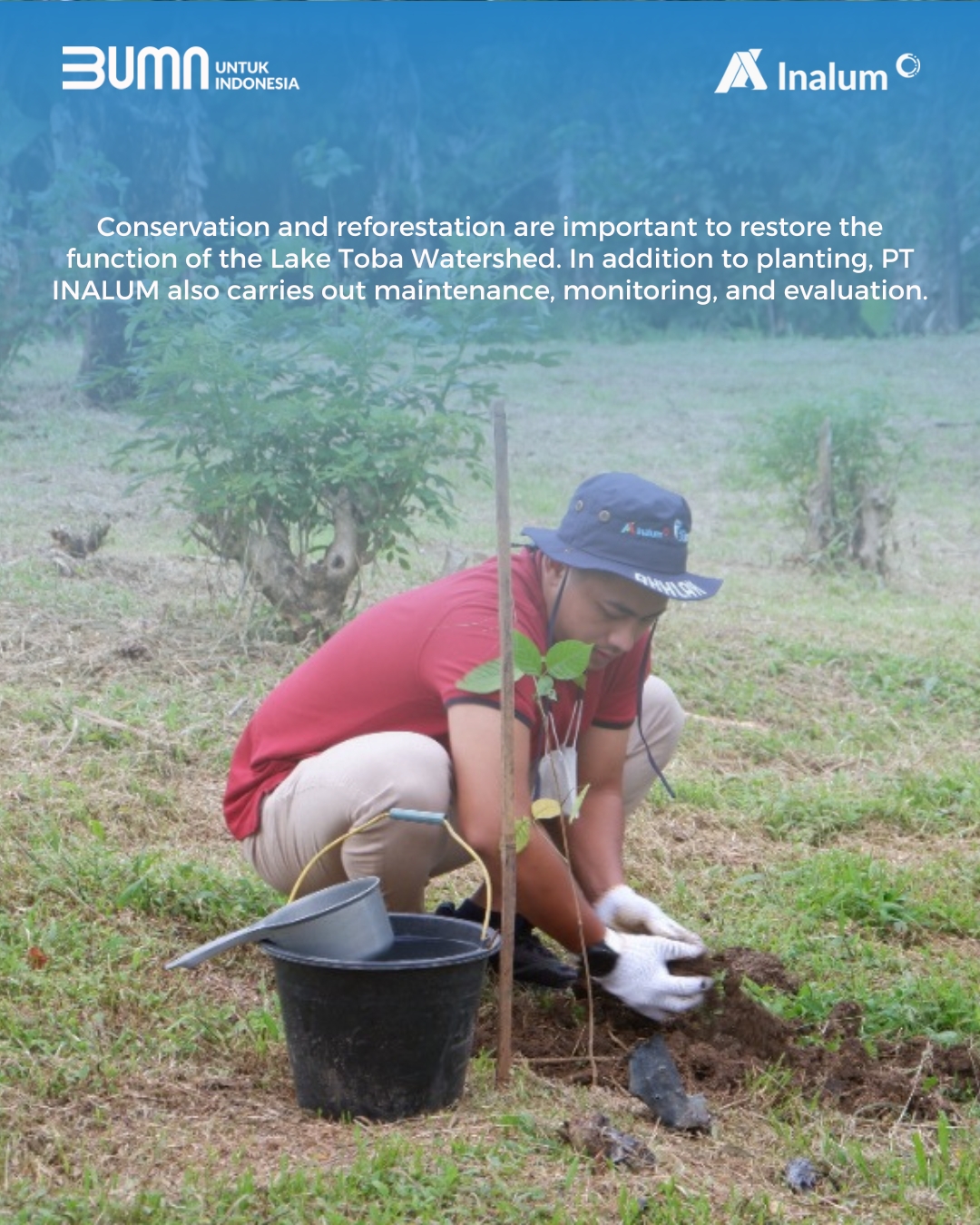 Conservation and Reforestation of Lake Toba