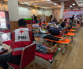  INALUM Sambut HUT RI ke-81 dengan Aksi Donor Darah, Himpun 626 Kantong Darah. 
