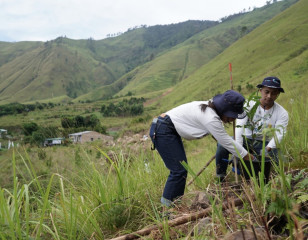 Do Tree Plantation, INALUM So Tuan Home Bakti BUMN For Indonesia in Toba Lake Area