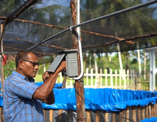 INALUM Dorong Penggunaan Energi Mandiri Pembangkit Listrik Tenaga Surya untuk Perikanan Darat