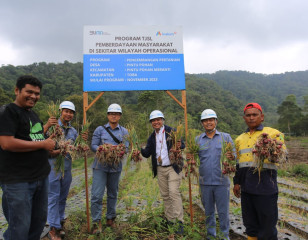 INALUM Rayakan Panen Bawang dan Cabai Bersama Masyarakat Pintu Pohan